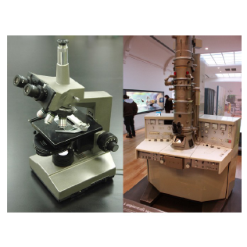 Biology Chapter 1 - The Study of Life