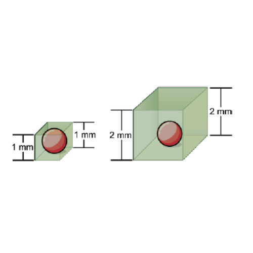 Biology Chapter 1 - The Study of Life