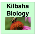 2025 VCE Biology