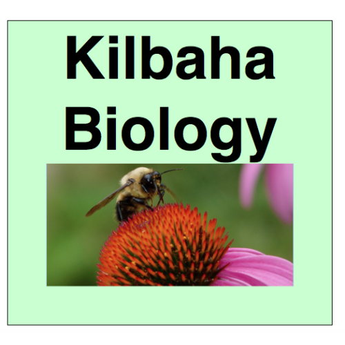 Biology Chapter 1 - The Study of Life